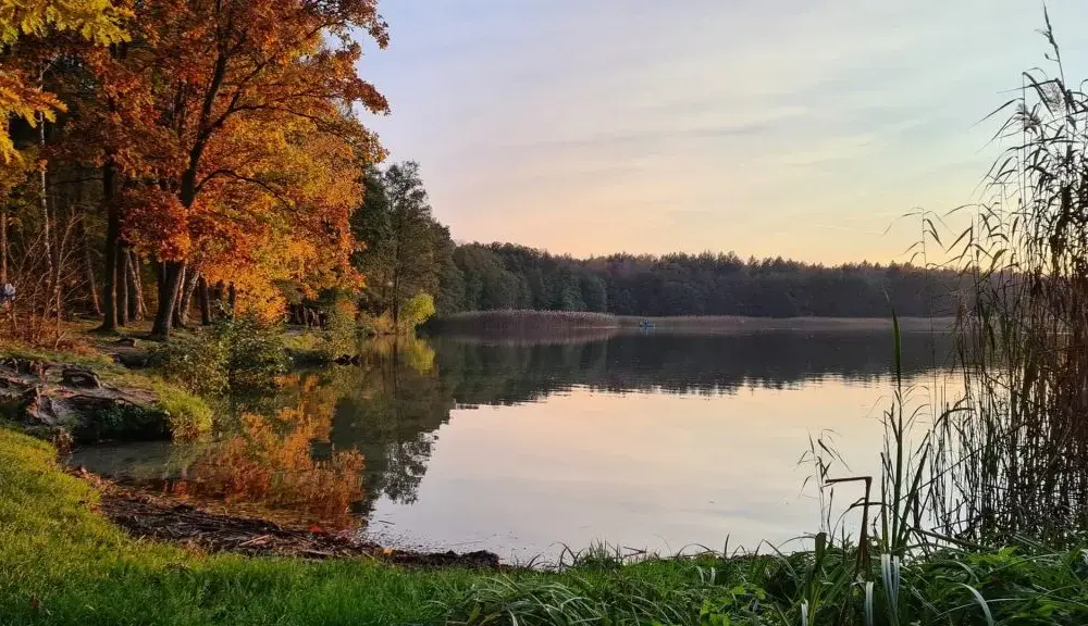Jezioro Trzechowskie - nieznany raj dla wędkarzy i miłośników przyrody