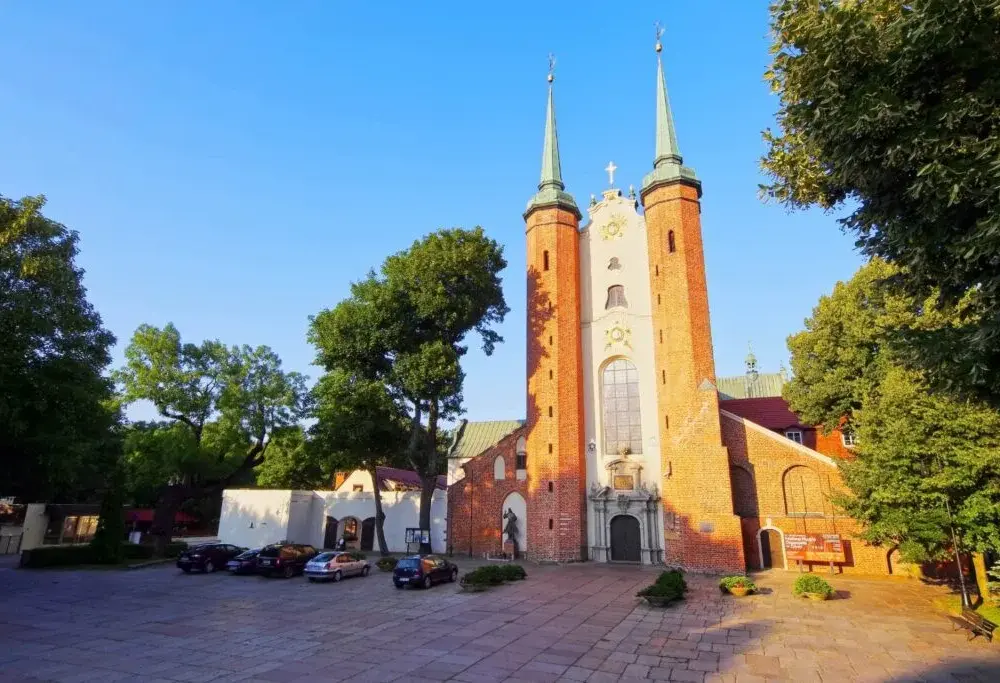 Co warto zobaczyć w Oliwie? 5 miejsc które Cię oczarują! Poradnik
