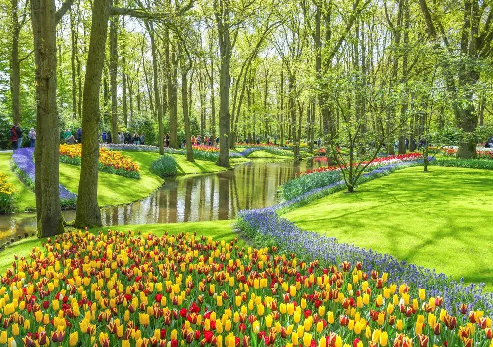 Keukenhof: najlepszy czas na wizytę i kwitnące tulipany