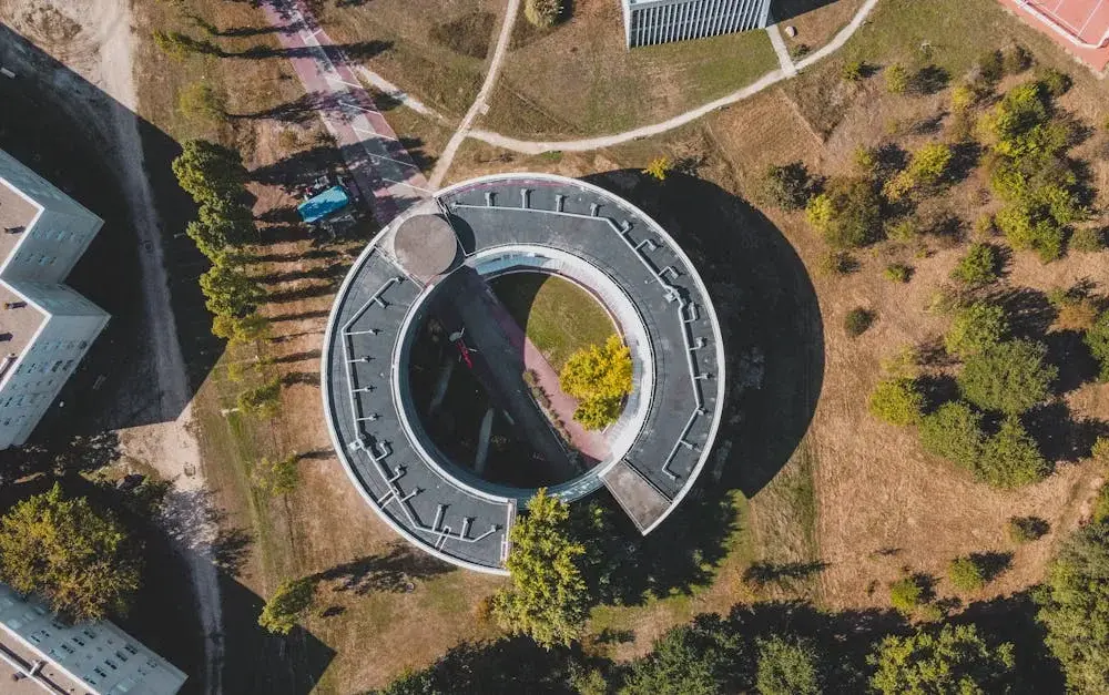 Jakie zwierzęta kryje Park Narodowy Ujście Warty? To dzika natura!