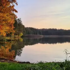 Jezioro Trzechowskie - nieznany raj dla wędkarzy i miłośników przyrody