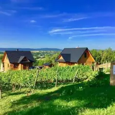 Noclegi w winnicach Dolnego Śląska – idealne miejsce na relaks i degustację