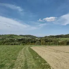Atrakcje w Iwoniczu Zdroju, które musisz zobaczyć i odwiedzić