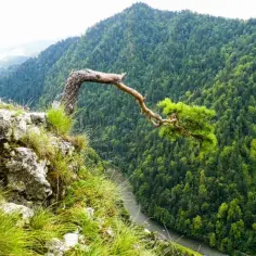 Jak zdobyć Sokolicę bez zadyszki? Najlepszy szlak dla każdego!
