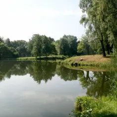 Najlepsze atrakcje w parku Świerklaniec, które musisz zobaczyć