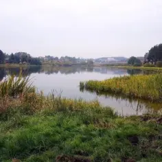 Jezioro Wysockie - najlepsze miejsce na wypoczynek nad wodą w Gdańsku