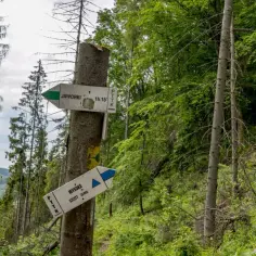 Który szlak na Wysoką w Pieninach wybrać? Rady górskich ekspertów