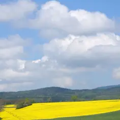 Która z 5 tras na Gęsią Szyję jest idealna dla rodzin z dziećmi?