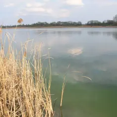 Jezioro Wilczyńskie - najlepsze miejsce na wypoczynek w Wielkopolsce