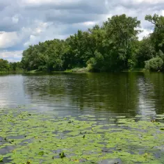 Jezioro Wilanowskie - malownicze miejsce relaksu i aktywnego wypoczynku
