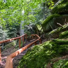 Gdzie nocować w Magurskim Parku Narodowym? Najlepsze miejsca