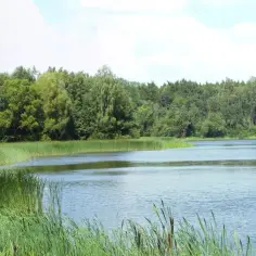 Najlepsze atrakcje nad Jeziorem Kowalskim: kompletny plan wypoczynku