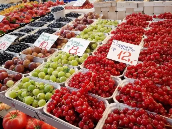 Targowiska dolny śląsk – odkryj najlepsze lokalne rynki i produkty