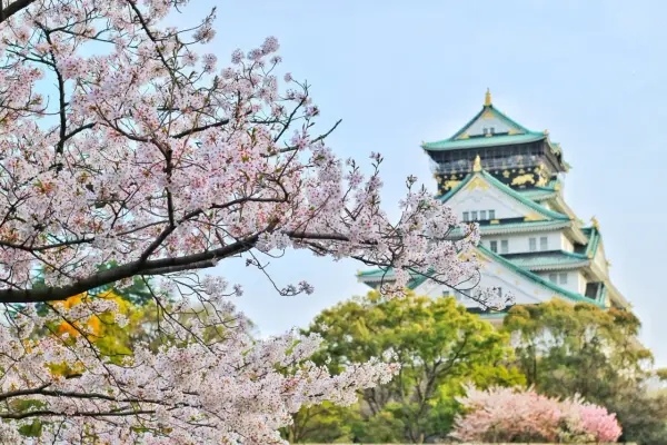 Japonia o każdej porze roku: Idealny termin twojej wymarzonej podróży